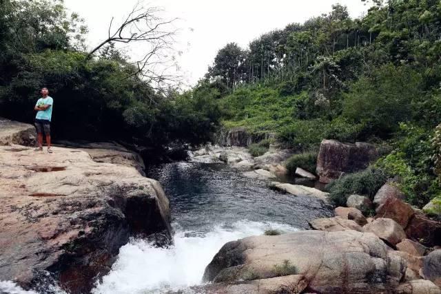 你能逃离此地吗